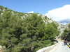 20131013132544-DSCF0429.JPG