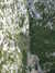 20131015123432-DSCF0524.JPG