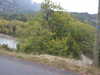 20131015144512-DSCF0546.JPG