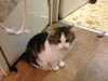 2013-11-05:Felicity
