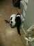 2013-11-13:cats
