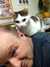 2013-11-19:Aineko Tim Back
