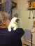 2014-01-10:Cats
