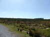 20140418130304-P1030617.JPG