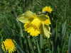 20140418130920-DSCF0620.JPG