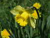 20140418130926-DSCF0621.JPG