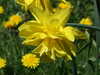 20140418130947-DSCF0622.JPG