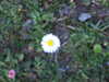 20140418142140-DSCF0624.JPG