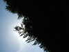 20140418143958-DSCF0626.JPG