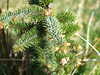 20140418150721-DSCF0628.JPG