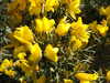 20140418150904-DSCF0629.JPG