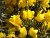 20140418150913-DSCF0630.JPG