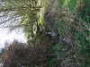 20140418152428-DSCF0633.JPG