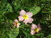 20140418152629-DSCF0640.JPG