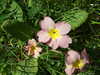 20140418152635-DSCF0641.JPG