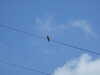 20140418152747-DSCF0642.JPG