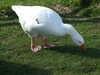 20140418172725-DSCF0647.JPG