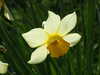 20140418172955-DSCF0654.JPG