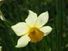 20140418173011-DSCF0655.JPG