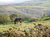 20140419192804-DSCF0695.JPG