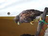 20140420124232-DSCF0718.JPG