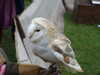 20140420124400-DSCF0720.JPG