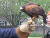 20140420124854-DSCF0725.JPG