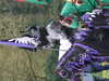 20140420130245-DSCF0729.JPG