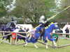 20140420131734-DSCF0739.JPG