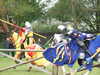 20140420131855-DSCF0745.JPG