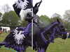 20140420132150-DSCF0756.JPG
