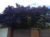 20140503151042-2014-05-03_15.10.42.jpg