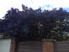 20140503151042-IMG_0074.JPG