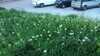 20140504212129-2014-05-04_21.21.29.jpg