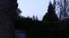 20140504213006-2014-05-04_21.30.06.jpg