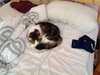 2014-06-29:Felicity
