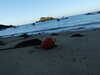 20140706210044-DSCF0793.JPG