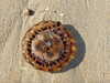 2014-07-11:Oleron

