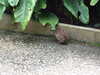 20140712150504-DSCF0911.JPG