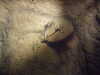 2014-07-15:Sentier les Daims
