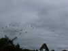 20140715143810-P1050903.JPG