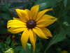 20140717120122-DSCF1214.JPG