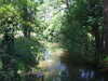 20140717121441-DSCF1237.JPG