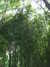 20140717121459-DSCF1238.JPG
