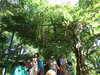 20140717122251-DSCF1242.JPG