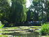 20140717122642-DSCF1257.JPG