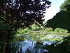20140717123335-DSCF1279.JPG