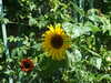 20140717124911-DSCF1306.JPG