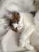 2014-08-08:Felicity

