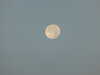 2014-09-10:Moon and Fencing with Aineko
